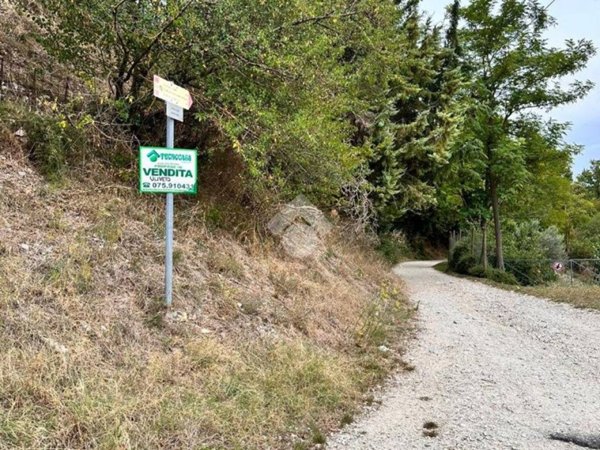 terreno agricolo in vendita a Gualdo Tadino