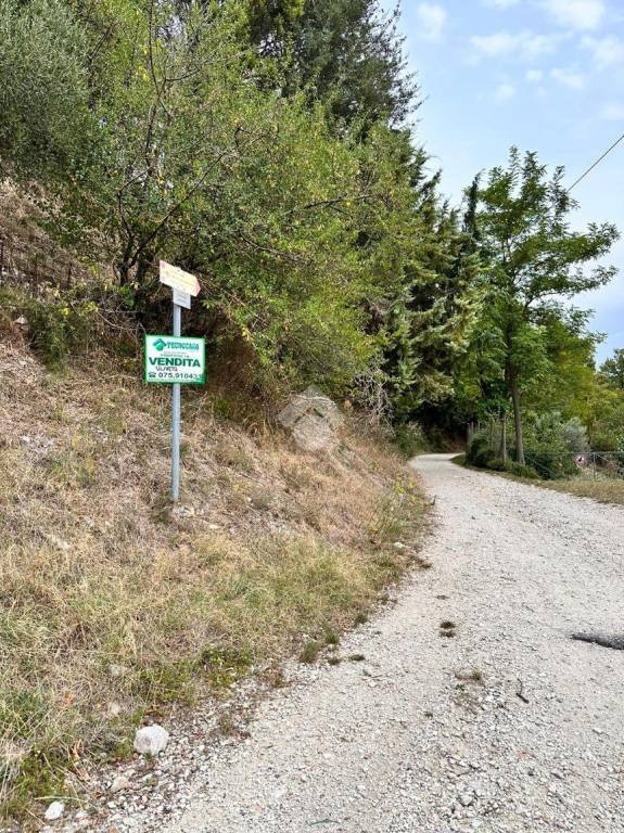 terreno agricolo in vendita a Gualdo Tadino