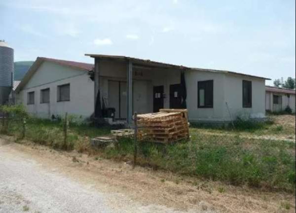 terreno agricolo in vendita a Gualdo Tadino