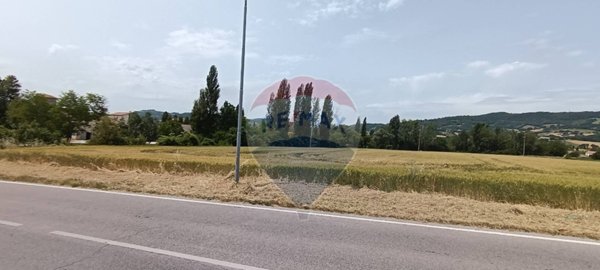 terreno agricolo in vendita a Gualdo Tadino in zona Vaccara