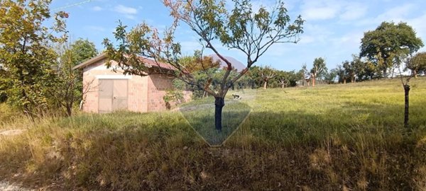 azienda agricola in vendita a Gualdo Tadino in zona Poggio Sant'Ercolano
