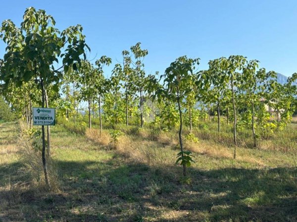 terreno agricolo in vendita a Gualdo Tadino