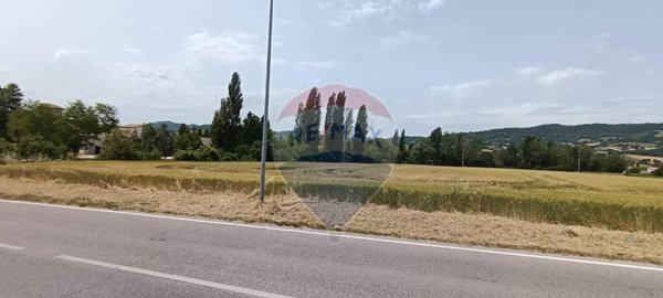 terreno agricolo in vendita a Gualdo Tadino in zona Vaccara