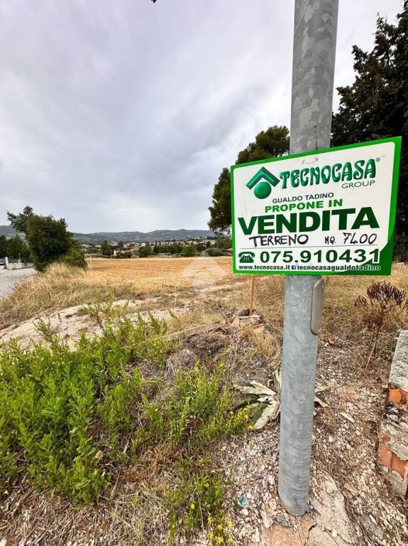 terreno agricolo in vendita a Gualdo Tadino
