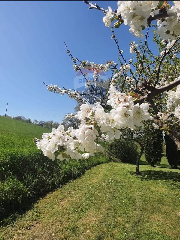 casa indipendente in vendita a Gualdo Tadino