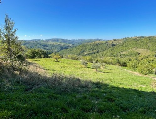 terreno agricolo in vendita a Gualdo Tadino in zona Poggio Sant'Ercolano
