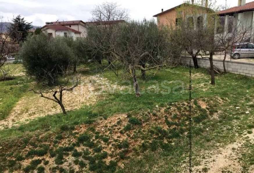 terreno agricolo in vendita a Gualdo Tadino