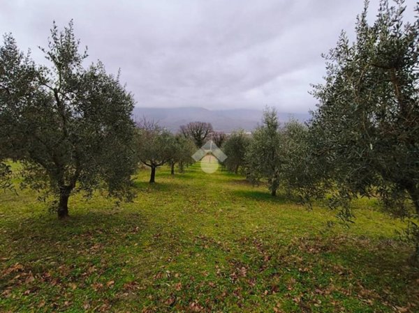 terreno agricolo in vendita a Gualdo Tadino in zona San Pellegrino