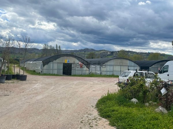 azienda agricola in vendita a Gubbio