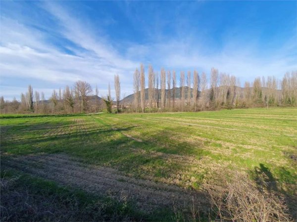 terreno agricolo in vendita a Gubbio
