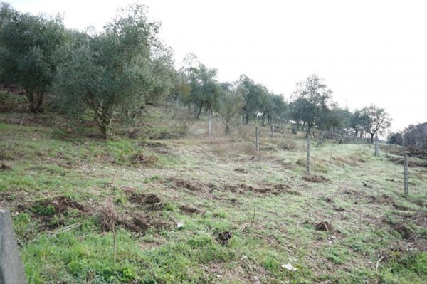 terreno edificabile in vendita a Gubbio in zona Mocaiana