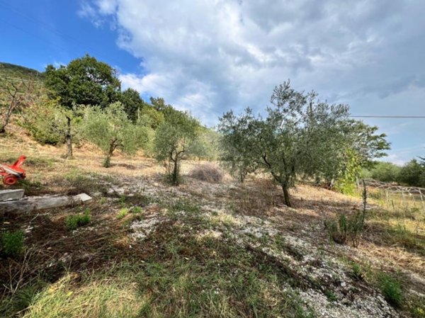 terreno agricolo in vendita a Gubbio in zona Mocaiana