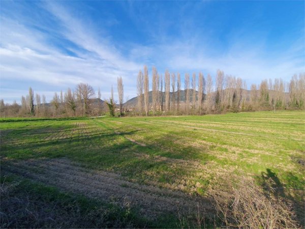 terreno agricolo in vendita a Gubbio