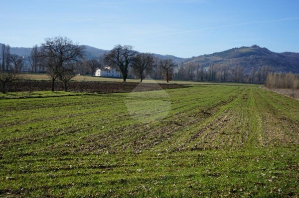 terreno agricolo in vendita a Gubbio