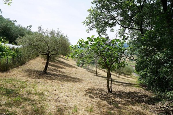 terreno agricolo in vendita a Gubbio in zona Loreto
