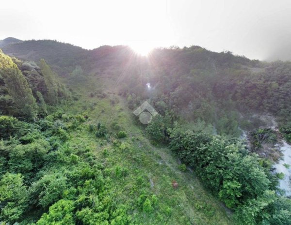 terreno agricolo in vendita a Gubbio