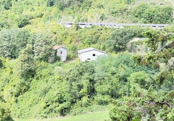 azienda agricola in vendita a Gubbio