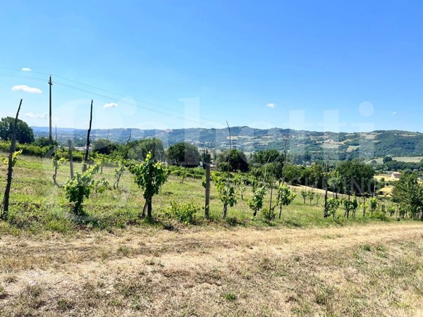 terreno agricolo in vendita a Gubbio