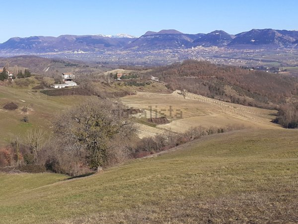 azienda agricola in vendita a Gubbio