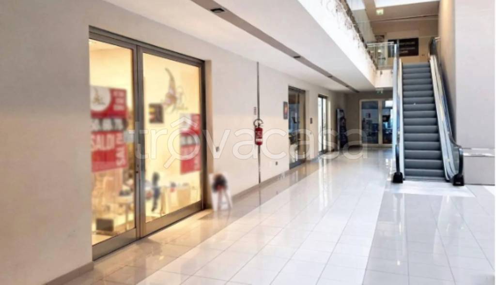 immagine annuncio 0 di 10