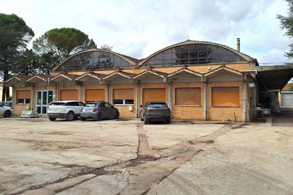 negozio in vendita a Gubbio