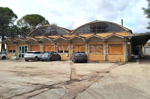negozio in vendita a Gubbio