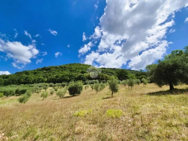 terreno in vendita a Gubbio