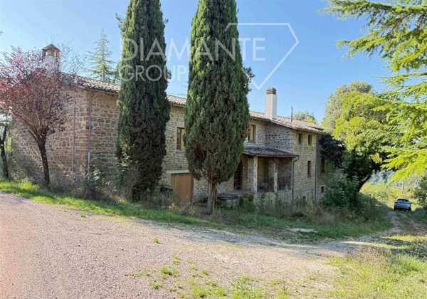 azienda agricola in vendita a Gubbio