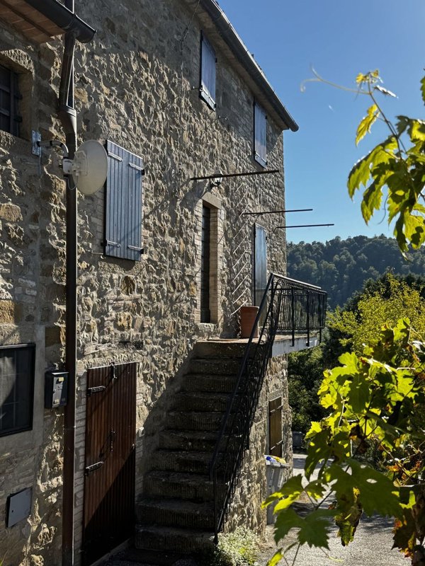 esavano in vendita a Lisciano Niccone