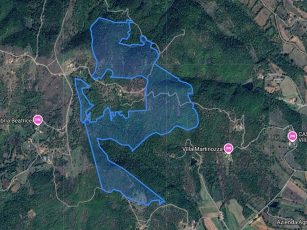 terreno agricolo in vendita a Lisciano Niccone