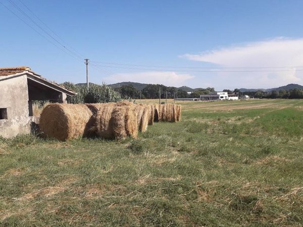 terreno agricolo in vendita a Magione in zona Villa