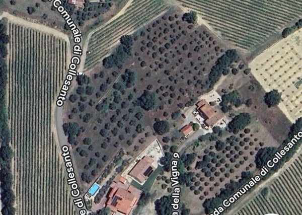 terreno agricolo in vendita a Magione