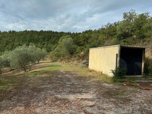 terreno agricolo in vendita a Magione