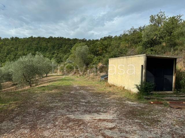 terreno agricolo in vendita a Magione