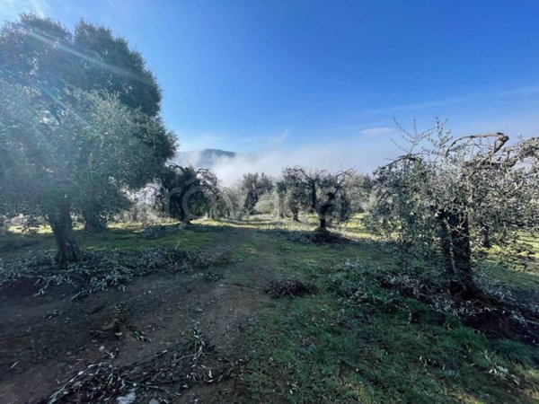 terreno agricolo in vendita a Magione in zona Sant’Arcangelo