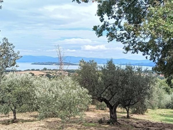 terreno agricolo in vendita a Magione in zona Sant’Arcangelo