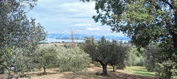 terreno agricolo in vendita a Magione in zona Sant’Arcangelo