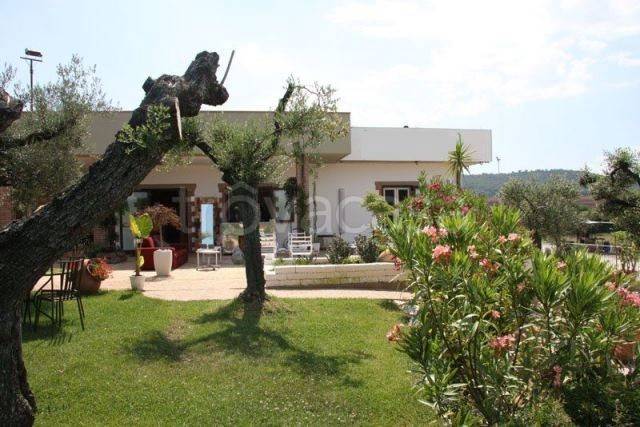 negozio in vendita a Magione