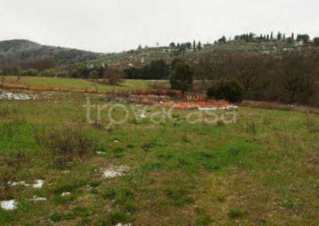 terreno agricolo in vendita a Magione in zona Sant’Arcangelo