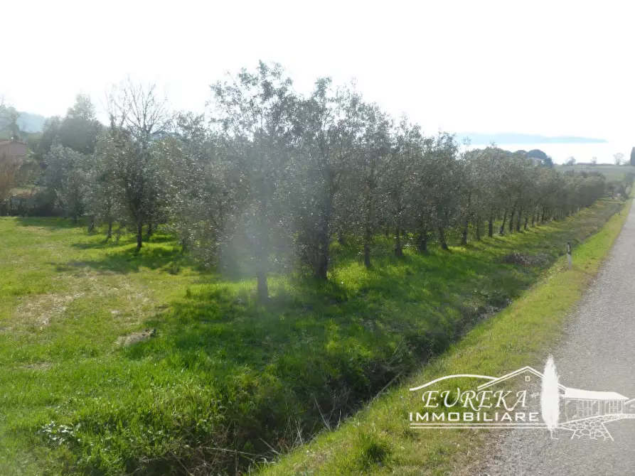 mansarda in vendita a Magione