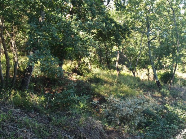 terreno edificabile in vendita a Magione in zona San Feliciano