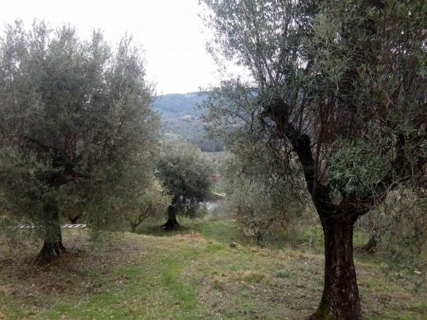 terreno agricolo in vendita a Magione in zona Sant’Arcangelo