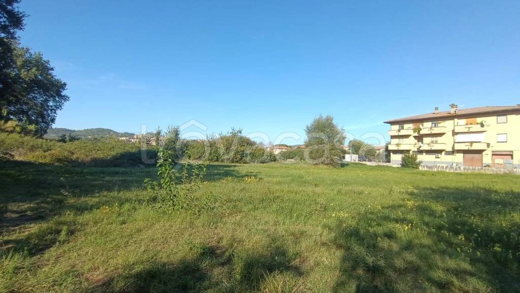 terreno agricolo in vendita a Magione