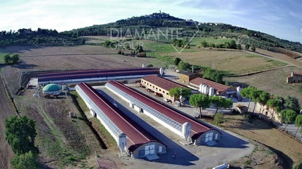 appartamento in vendita a Magione