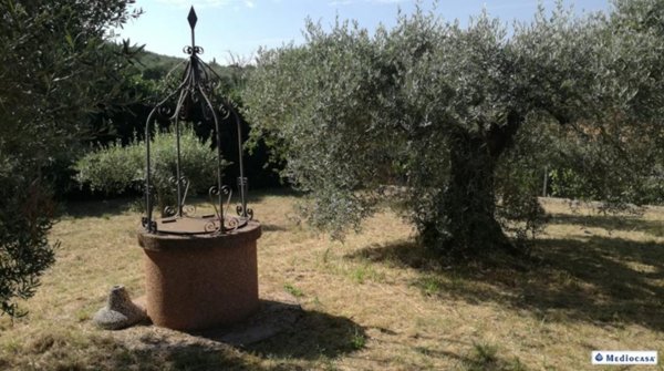 terreno agricolo in vendita a Magione in zona San Feliciano