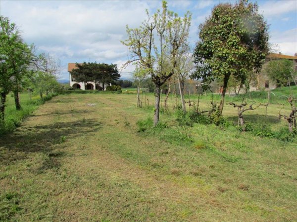 terreno agricolo in vendita a Magione