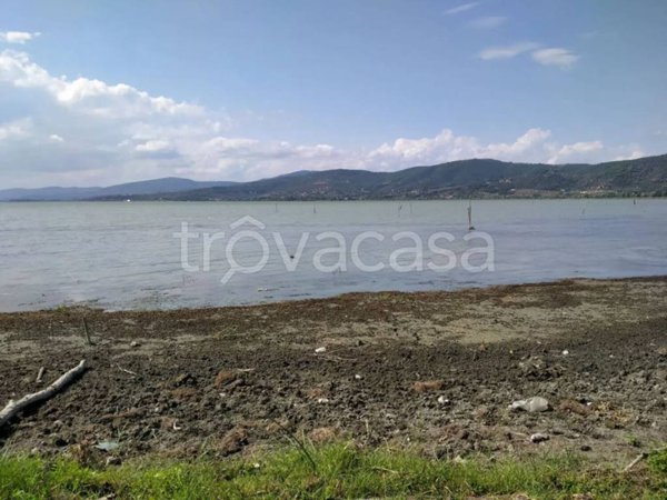 terreno agricolo in vendita a Magione in zona San Feliciano