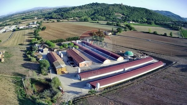 azienda agricola in vendita a Magione in zona Agello