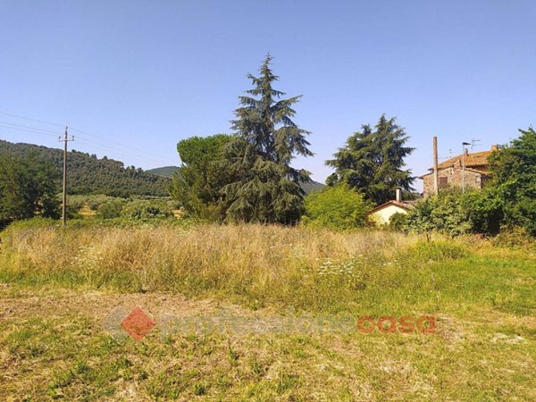 terreno edificabile in vendita a Magione in zona Sant’Arcangelo