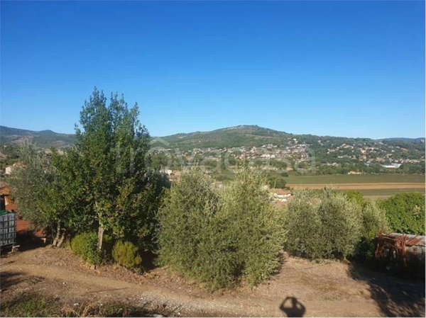 terreno agricolo in vendita a Magione